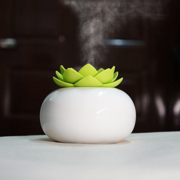 Lotus humidifier - Image 4