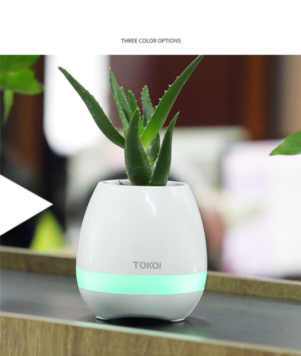 Touch-sensitive music vase desktop audio - Image 4