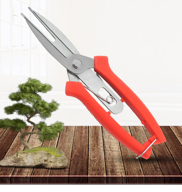 Stainless Steel Double-headed Garden Pruning Fruit And Vegetable Picking Scissors Bonsai Tool Flower Grafting Scissors - Image 9