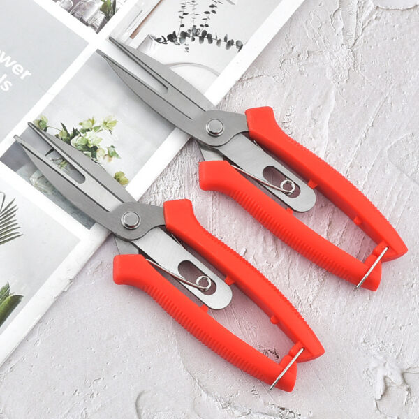 Stainless Steel Double-headed Garden Pruning Fruit And Vegetable Picking Scissors Bonsai Tool Flower Grafting Scissors - Image 2