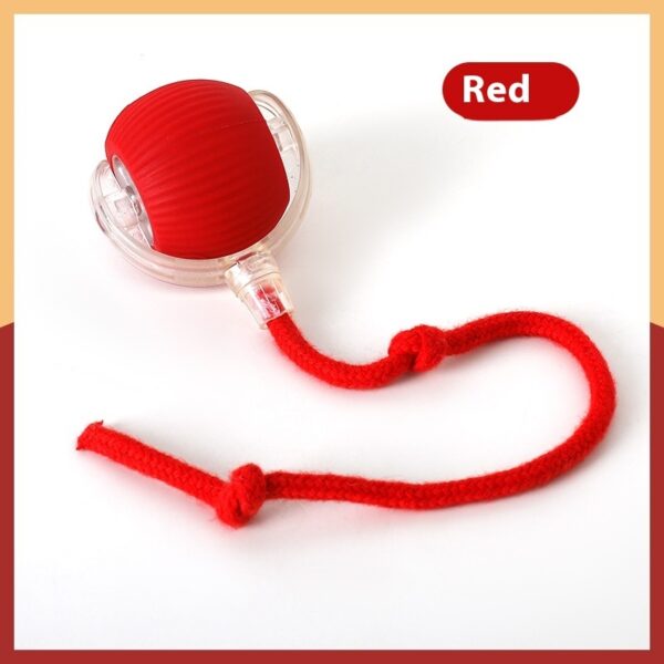 Interactive Cat Toy Ball Super Drive Cat Rolling Ball - Image 7