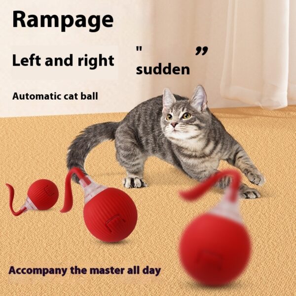 Interactive Cat Toy Ball Super Drive Cat Rolling Ball - Image 9